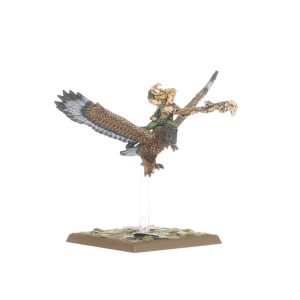 Wood Elf Mage on Warhawk