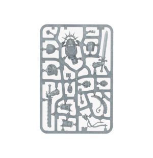 Captain in Gravis Armour