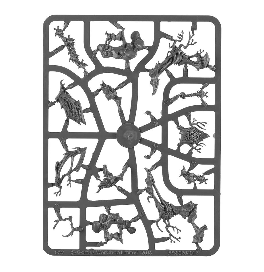 99120204017_DrycaHamadreth06-2