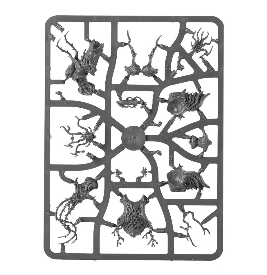 99120204017_DrycaHamadreth07-2