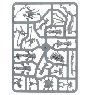 Arch-Kavalos Zandtos