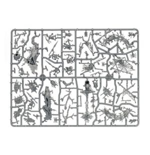 Skitterstrand Arachnarok