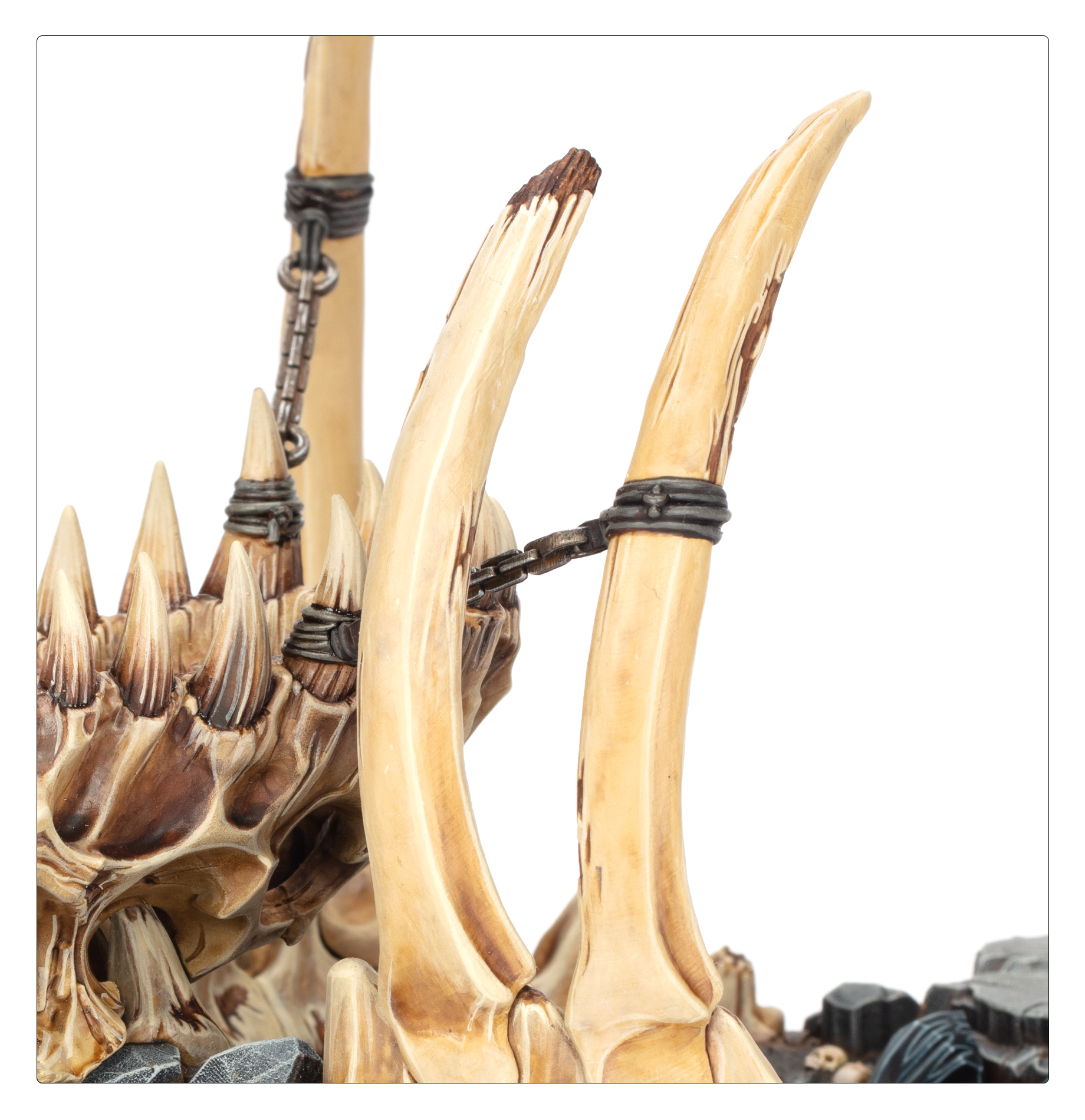 99120299098_OMMawpit04-4