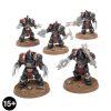 Justaerin Terminator Squad
