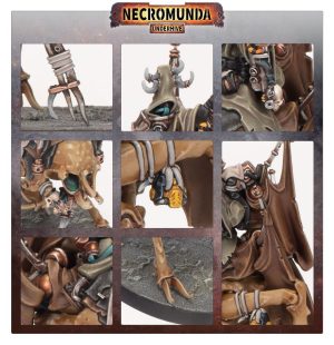 Ash Waste Nomads Wy'tari Stormcaller