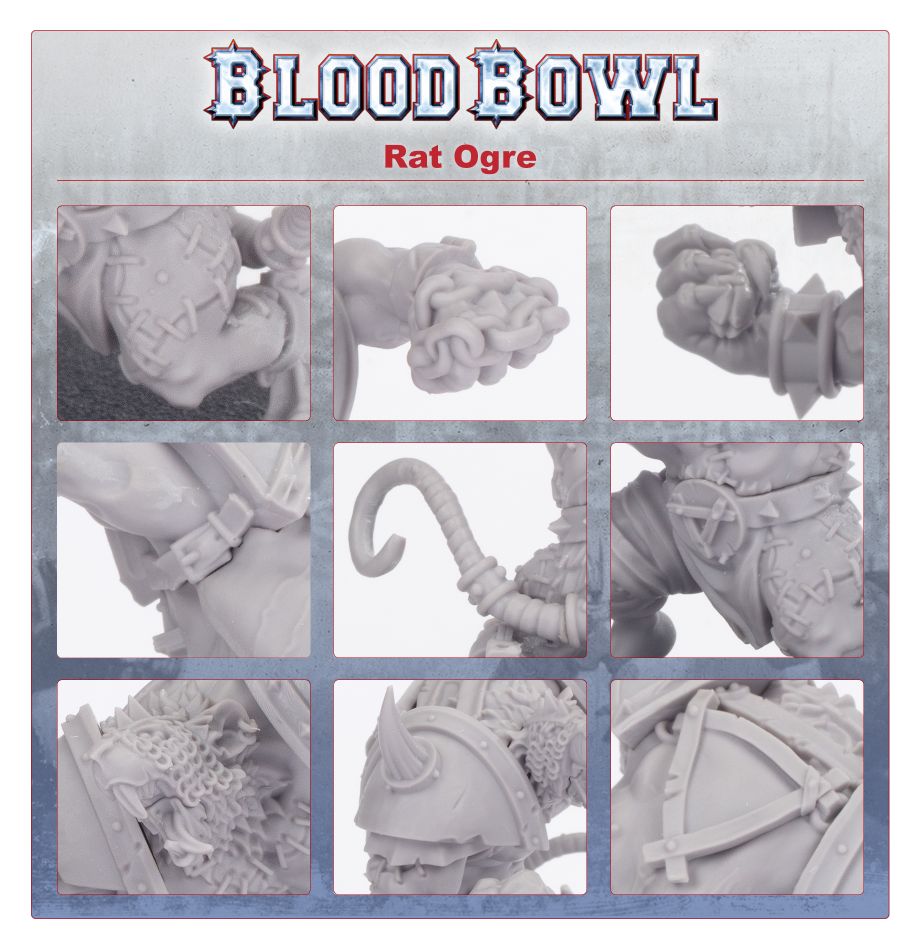 99850906004_RatOgreFeature2