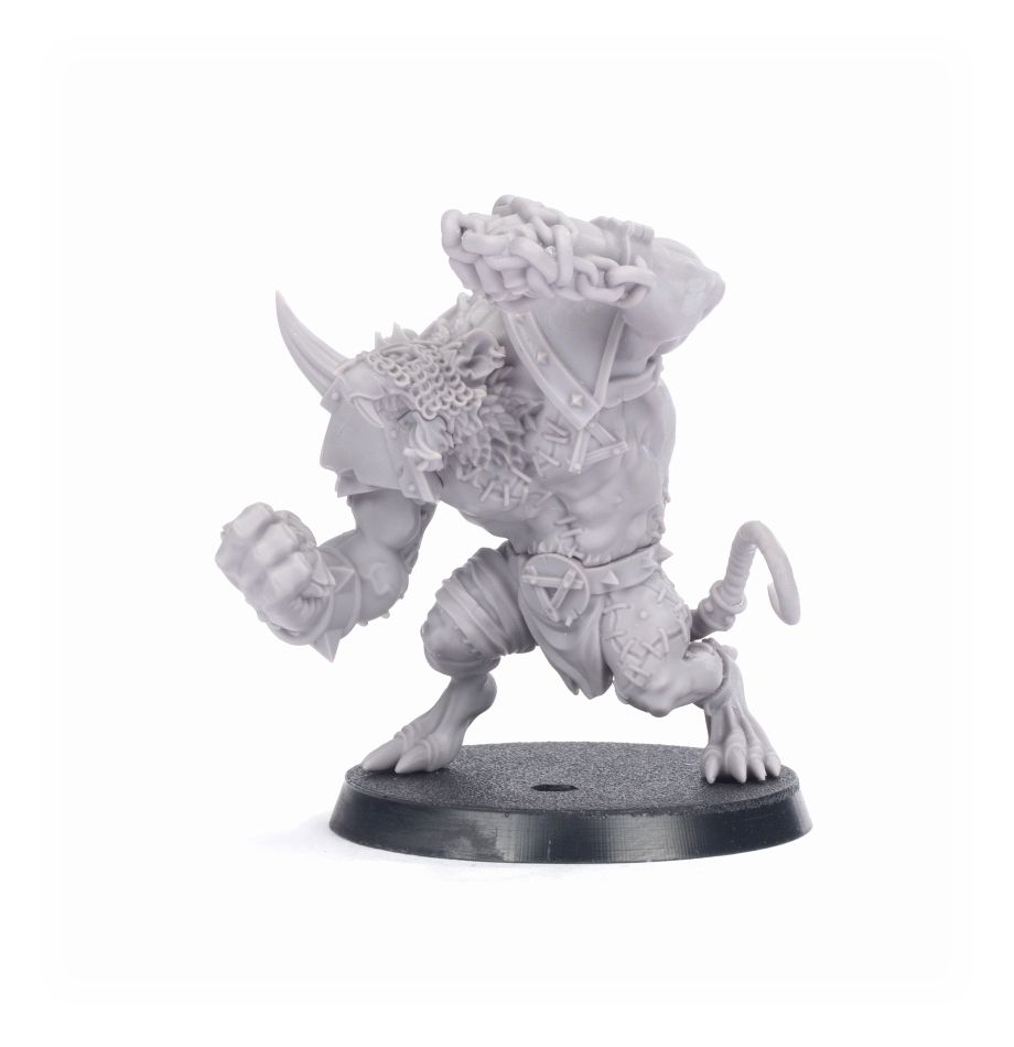 99850906004_RatOgreGroup-2