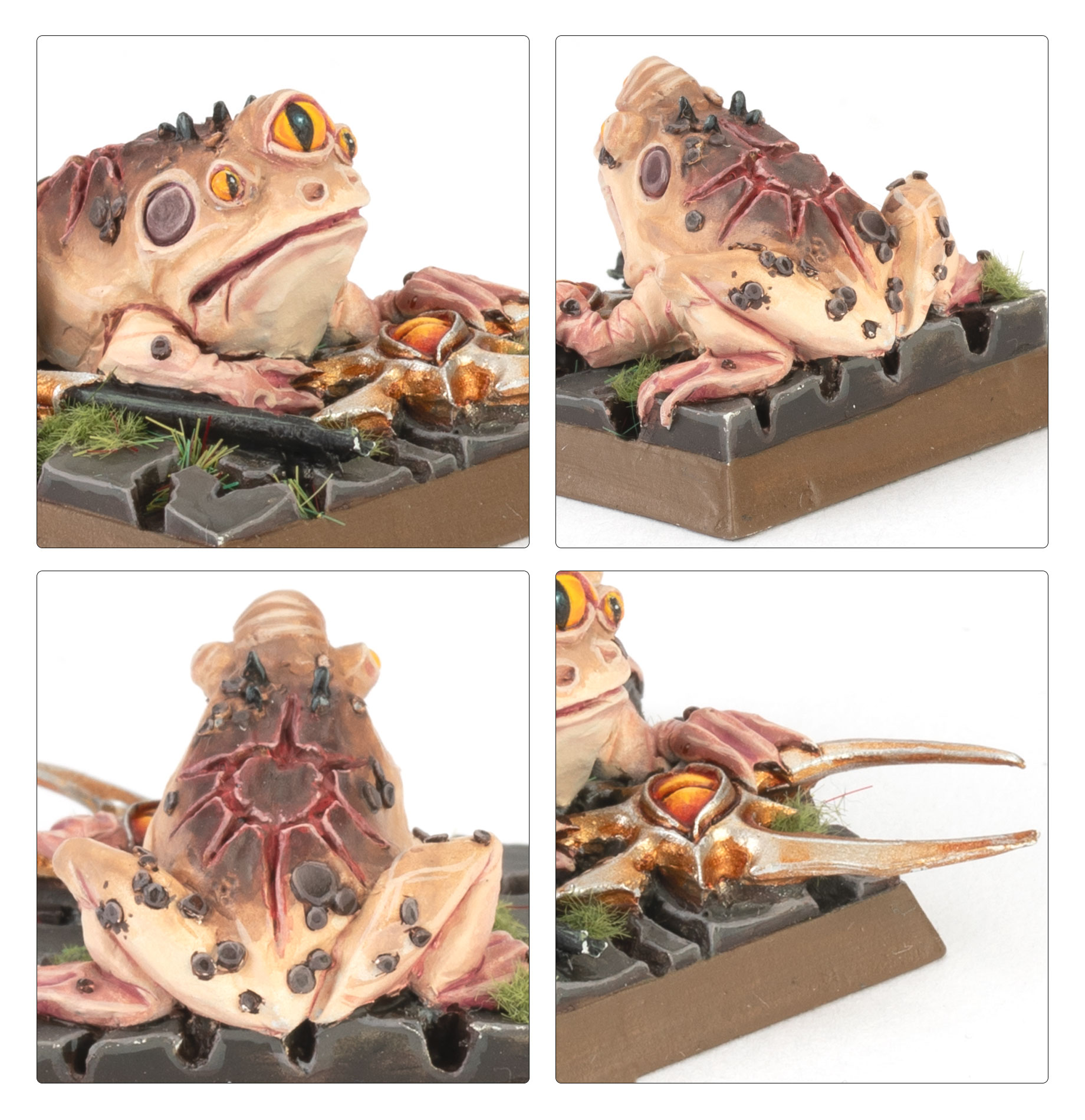 99852702005_EmpireofManArcaneFrogs3-4